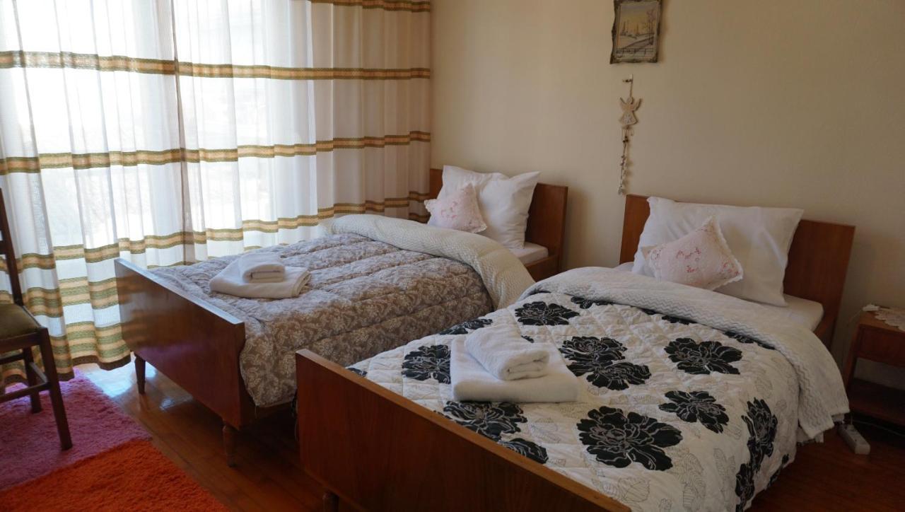 Apartament Santa Monica Prestige Tríkala Zewnętrze zdjęcie